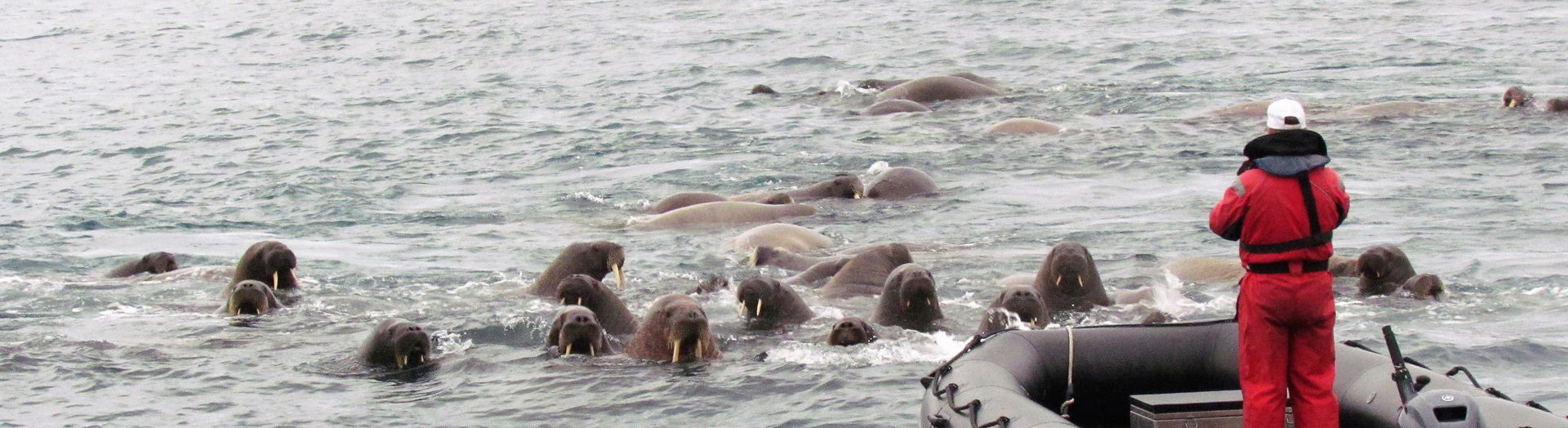 Spitsbergen