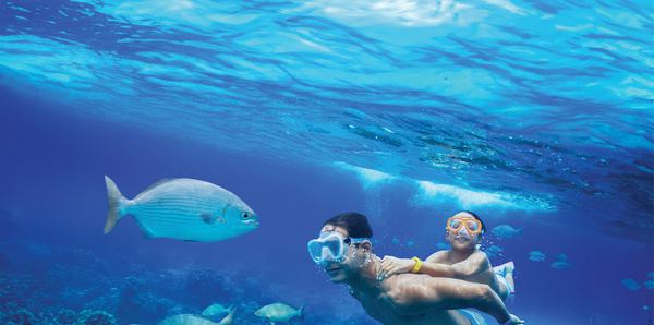 Snorkelling, South Pacific