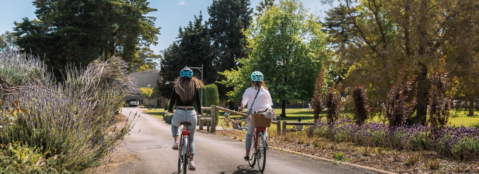 ASH 258179 Sevenhill Cellars Mandatory Credit South Australian Tourism Commission0